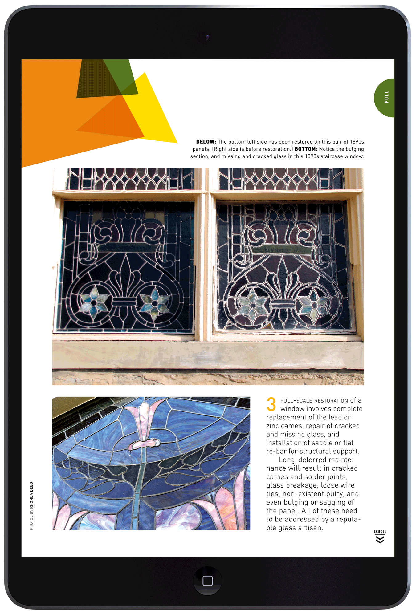 Artful Windows by Megan Hillman Donovan
