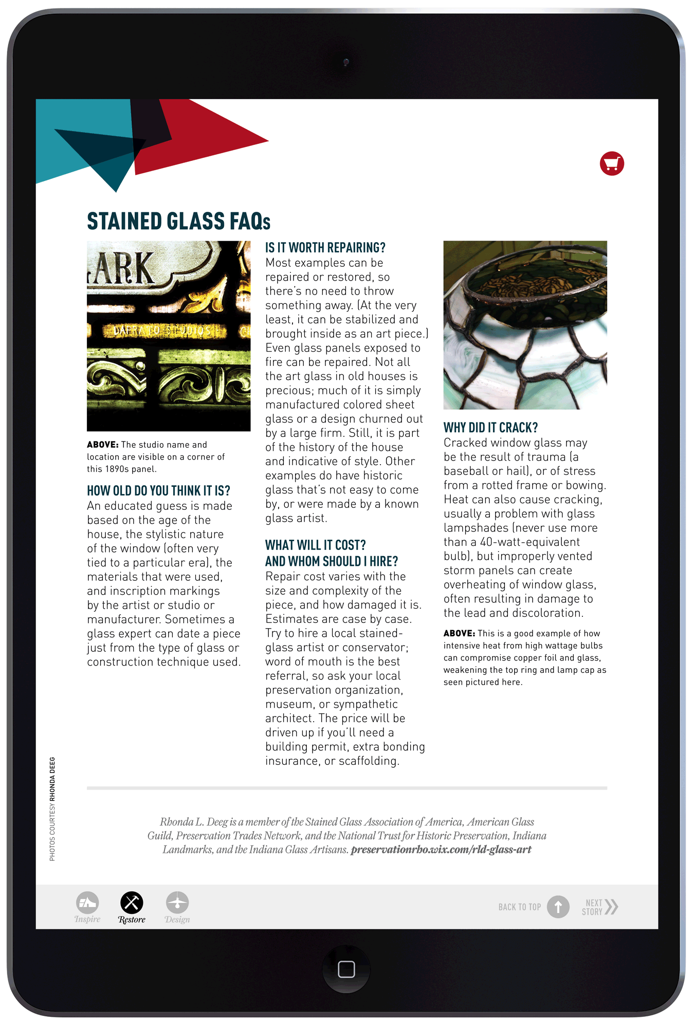 Artful Windows by Megan Hillman Donovan