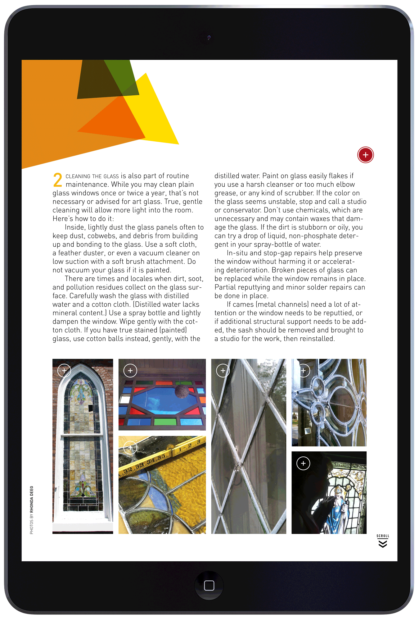 Artful Windows by Megan Hillman Donovan