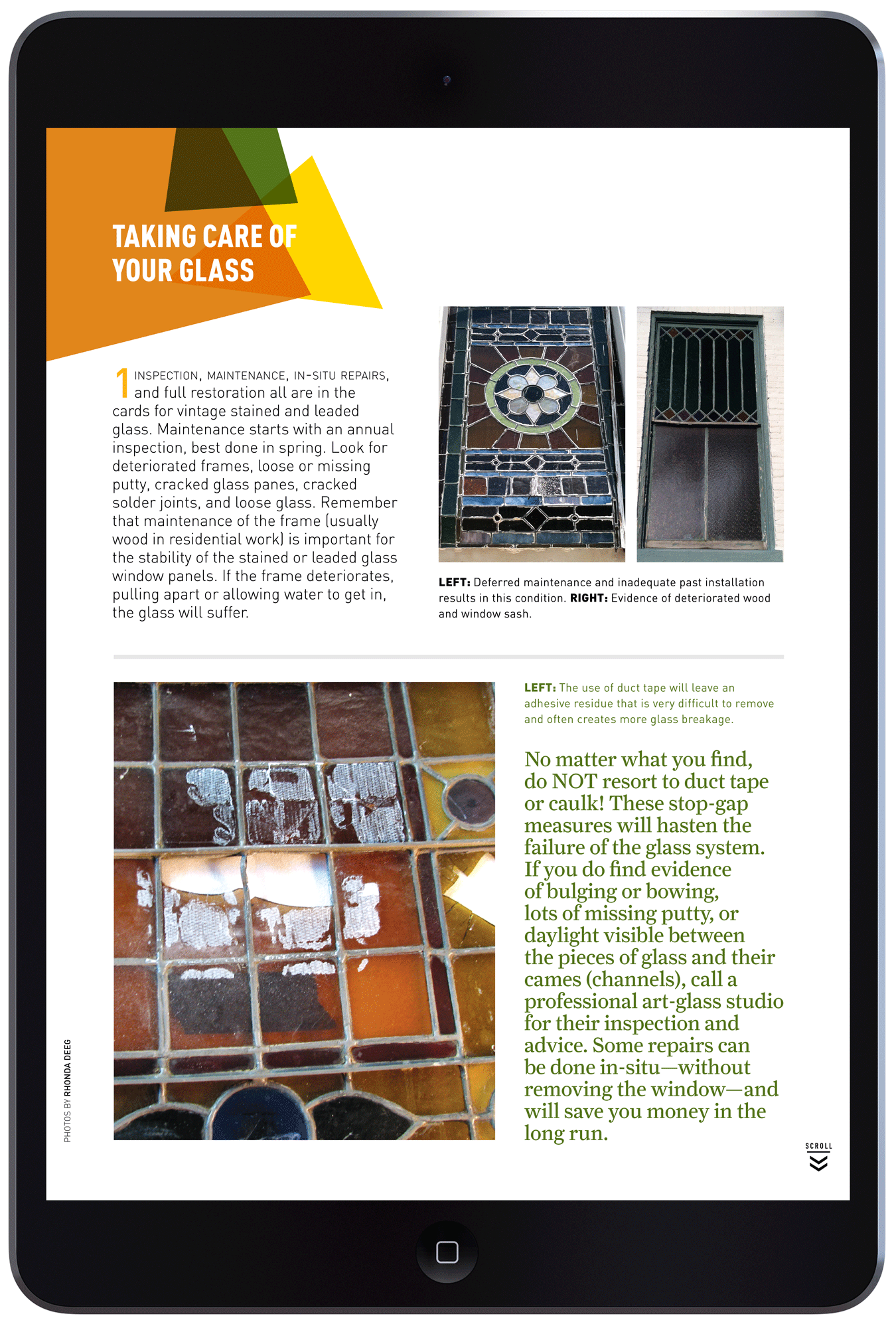 Artful Windows by Megan Hillman Donovan