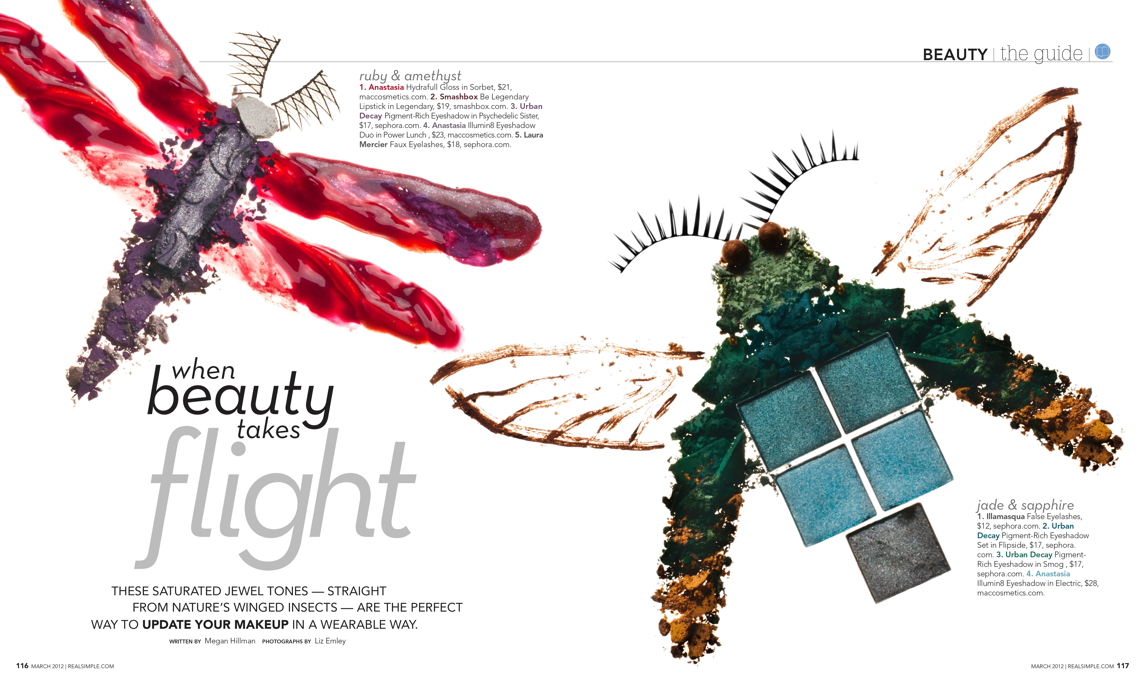 When Beauty Takes Flight by Megan Hillman Donovan