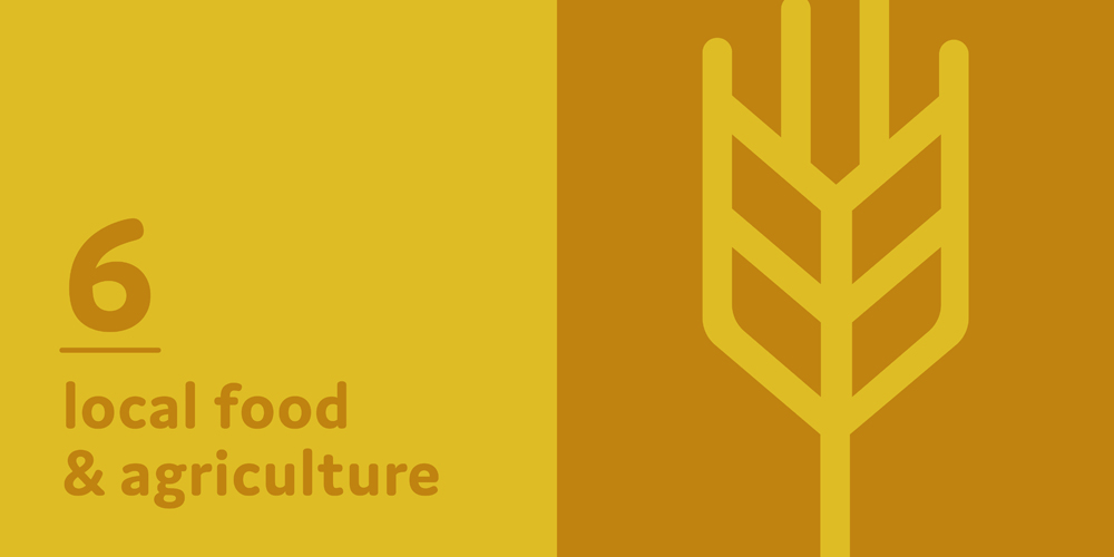 Sustainability Plan by Megan Hillman Donovan