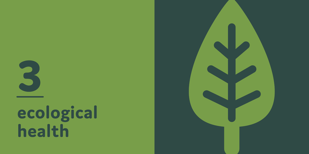Sustainability Plan by Megan Hillman Donovan