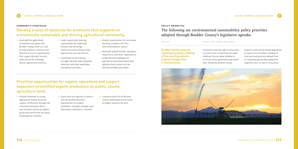 Sustainability Plan by Megan Hillman Donovan