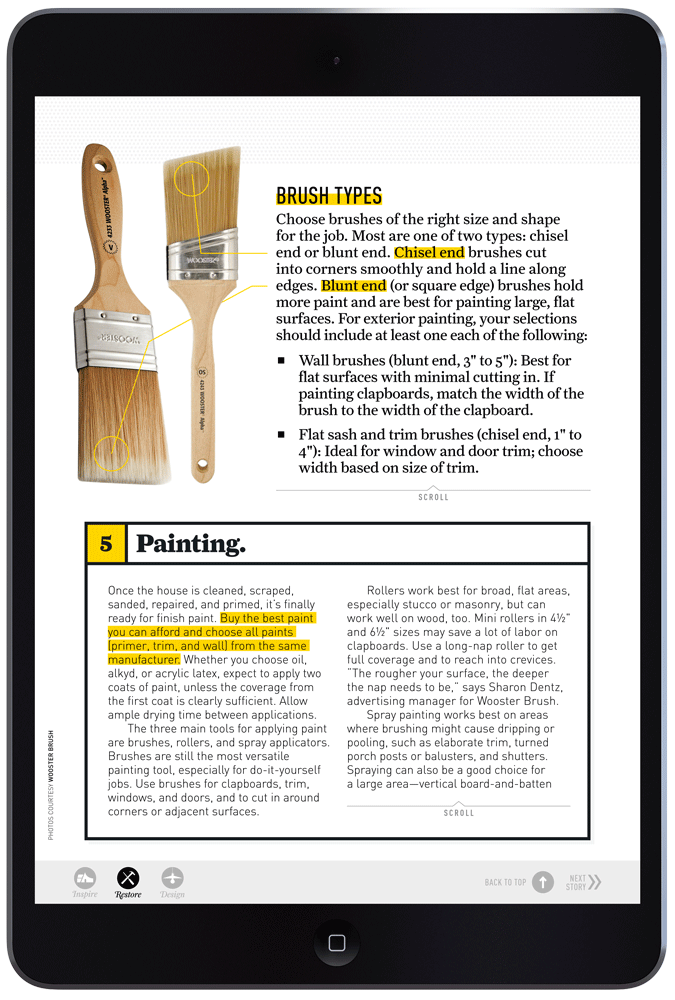 Brushing Up On Paint by Megan Hillman Donovan