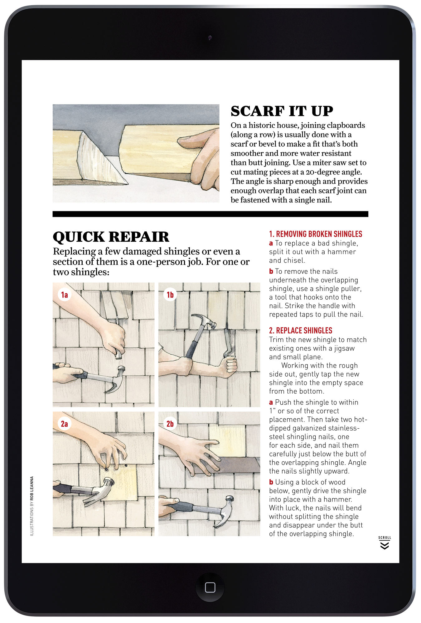 A Short Course on Cladding by Megan Hillman Donovan