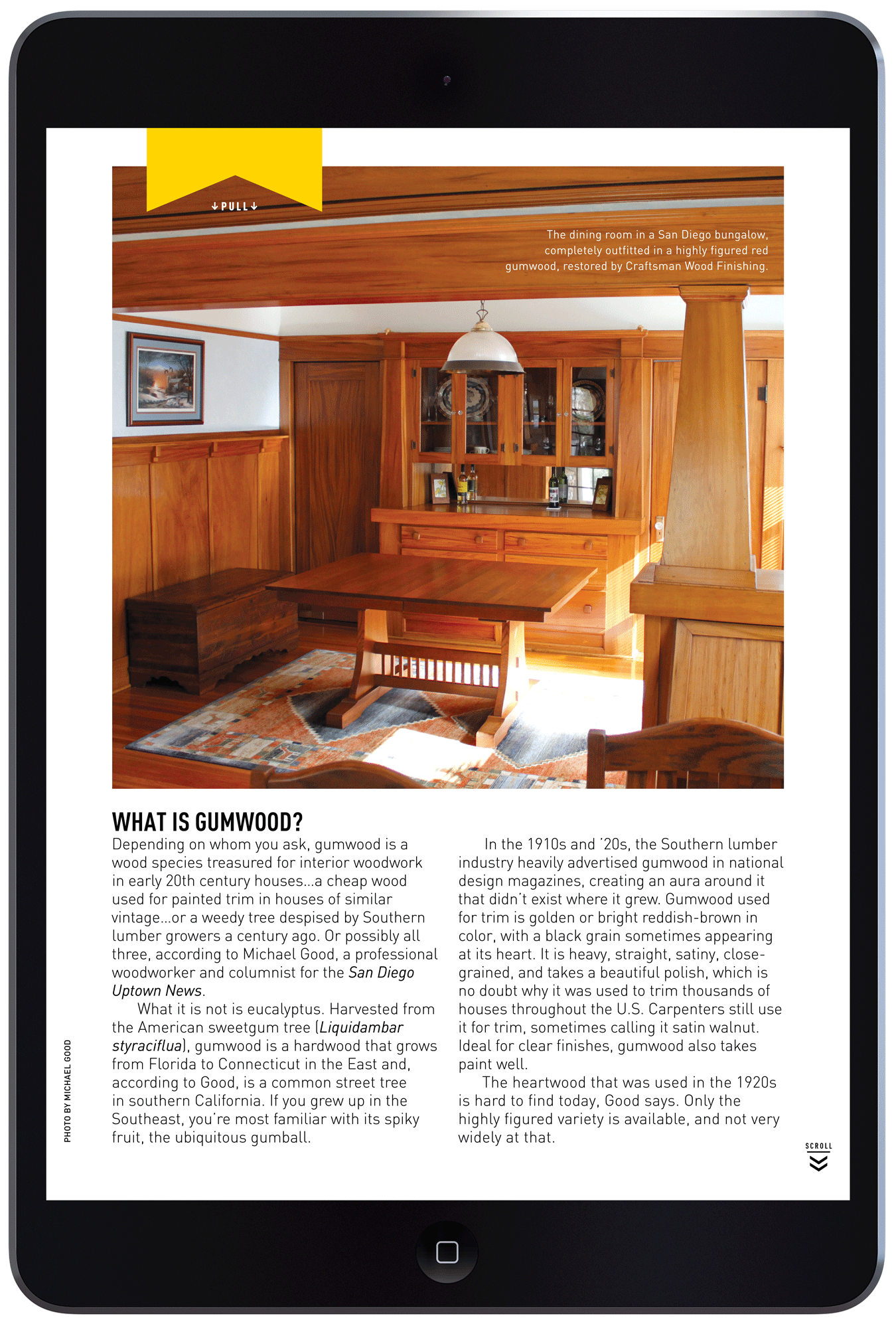 Finishing Basics for Woodwork & Floors by Megan Hillman Donovan