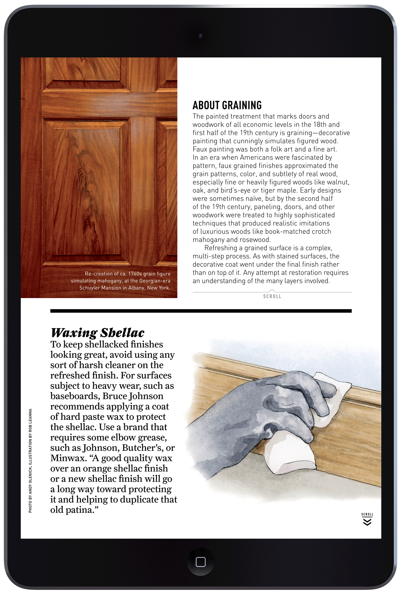 Finishing Basics for Woodwork & Floors by Megan Hillman Donovan