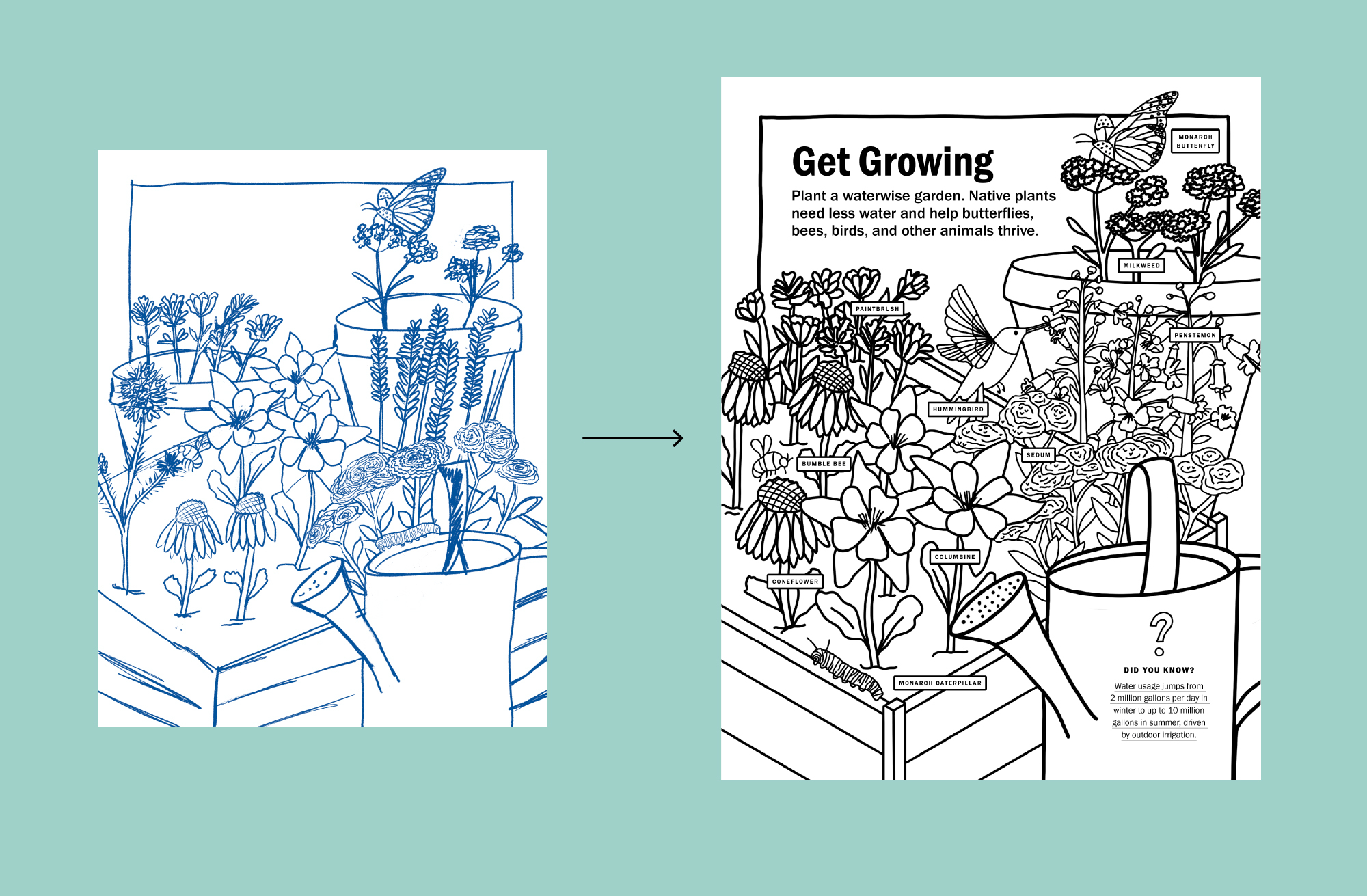Coloring Book Sketch to Final by Megan Hillman Donovan