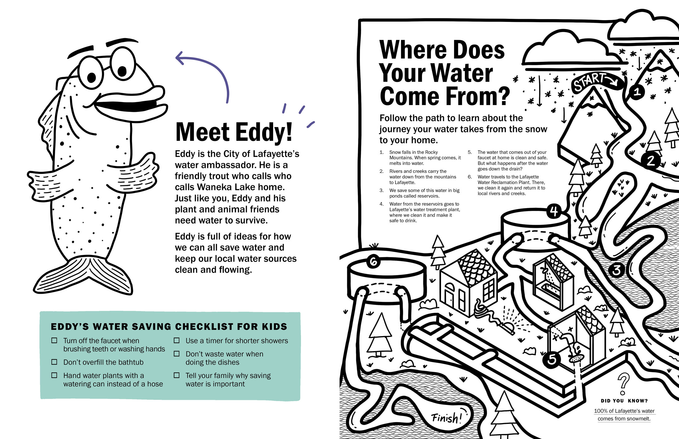 Coloring Book by Megan Hillman Donovan