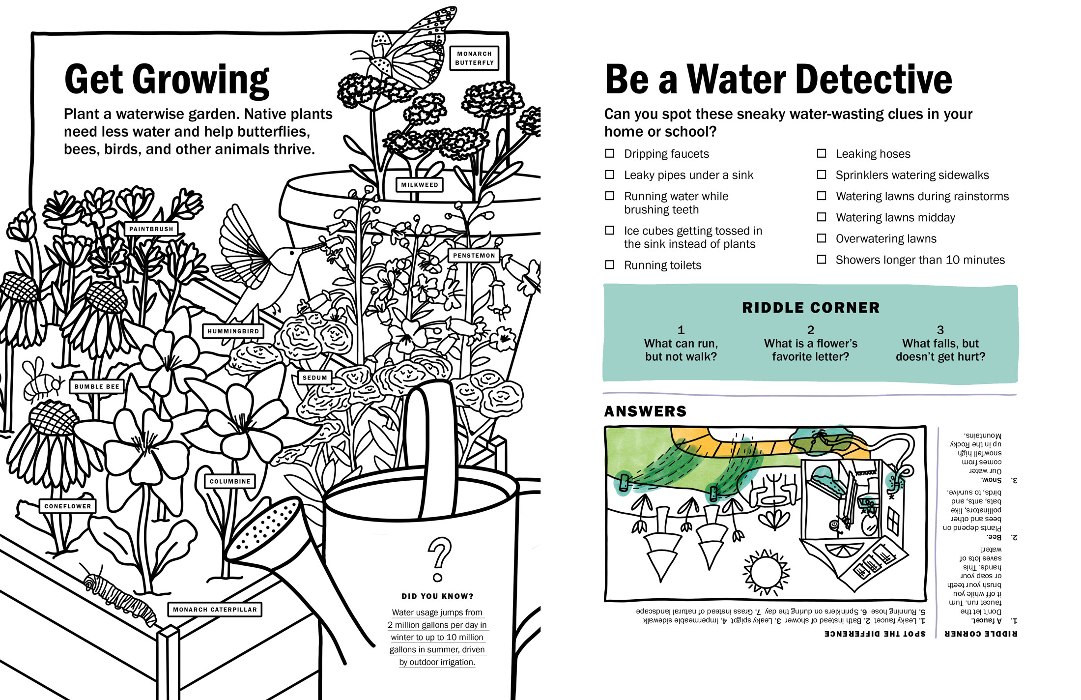 Coloring Book by Megan Hillman Donovan
