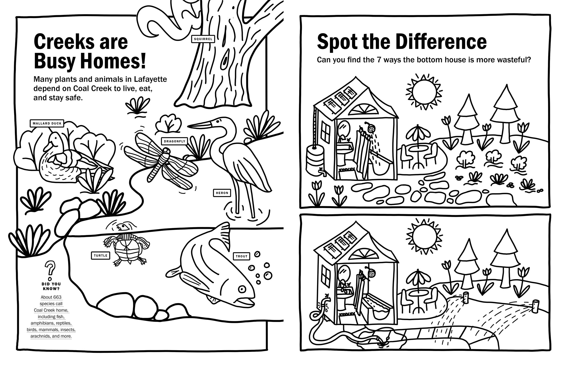 Coloring Book by Megan Hillman Donovan