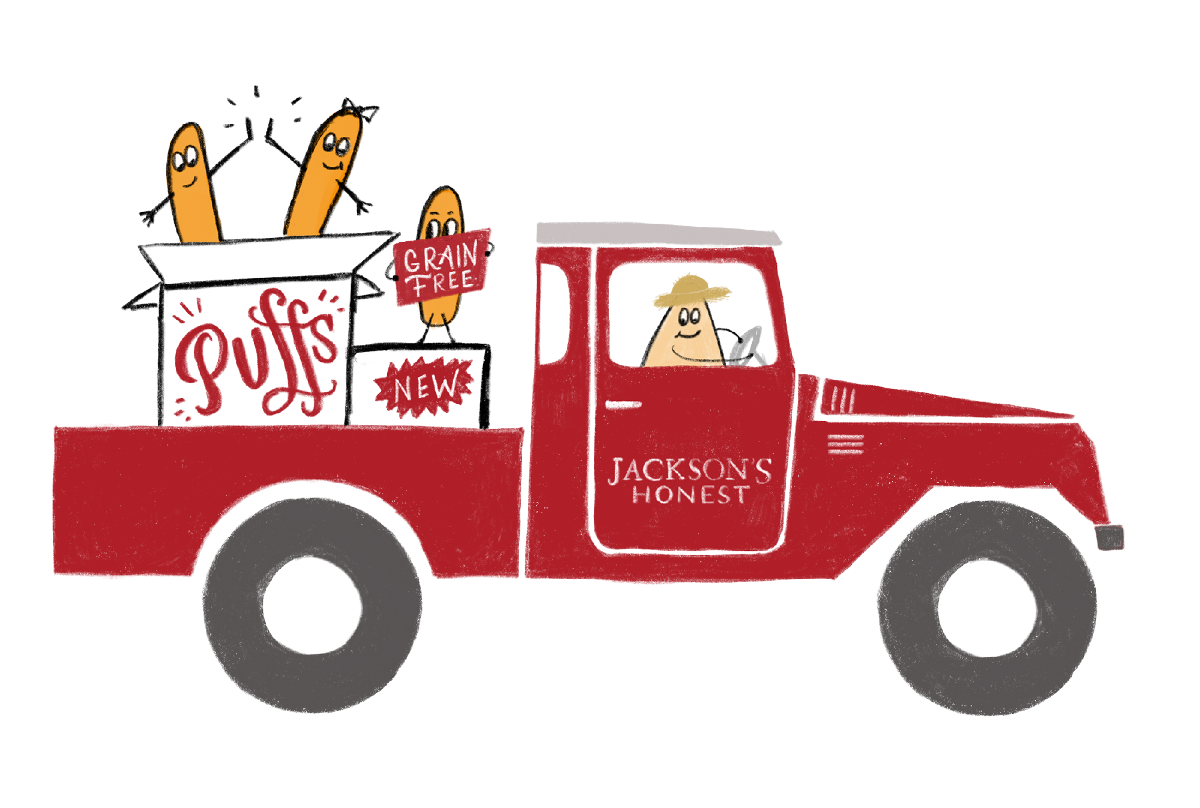 Jackson's Honest Stickers by Megan Hillman Donovan