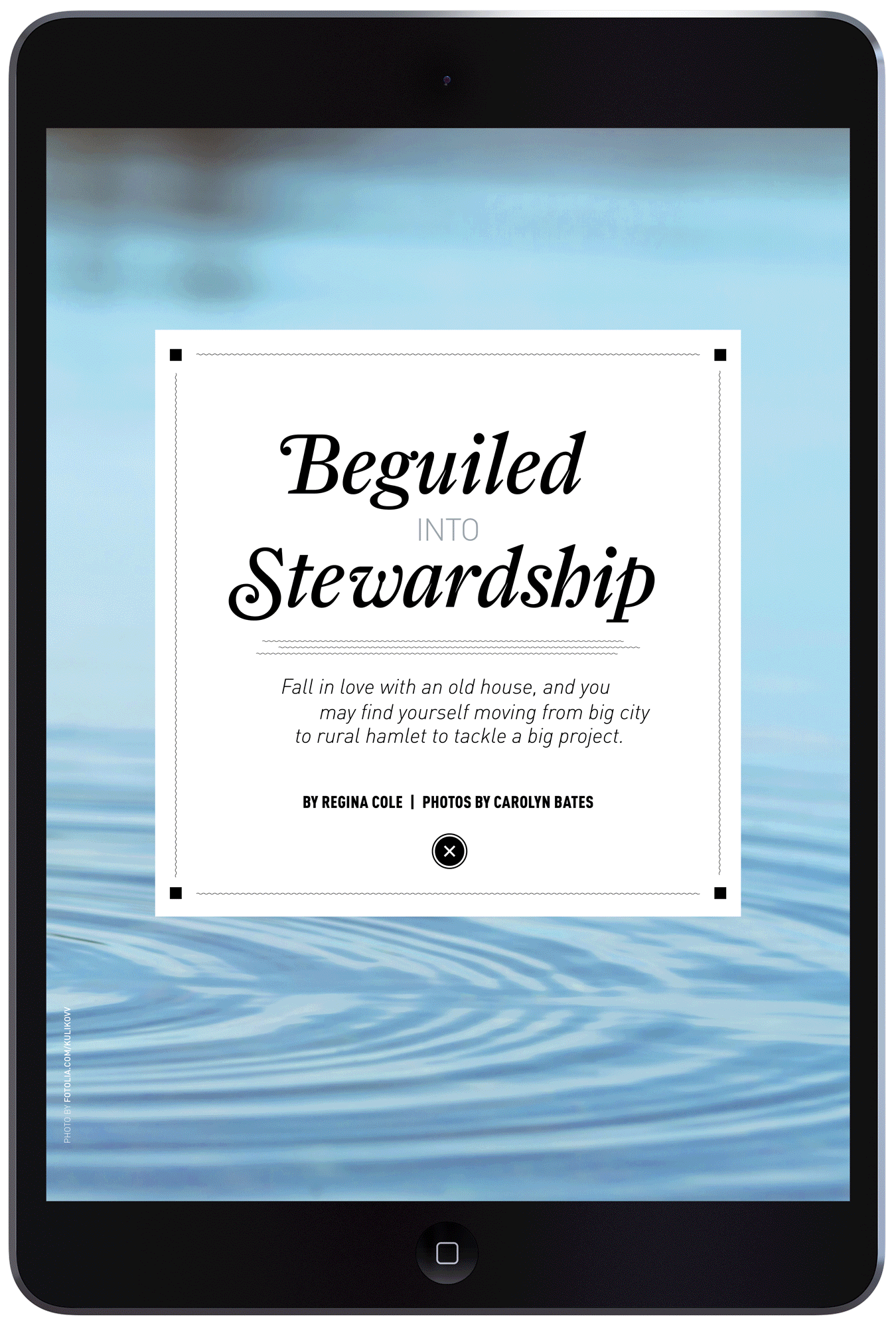 Beguiled into Stewardship by Megan Hillman Donovan