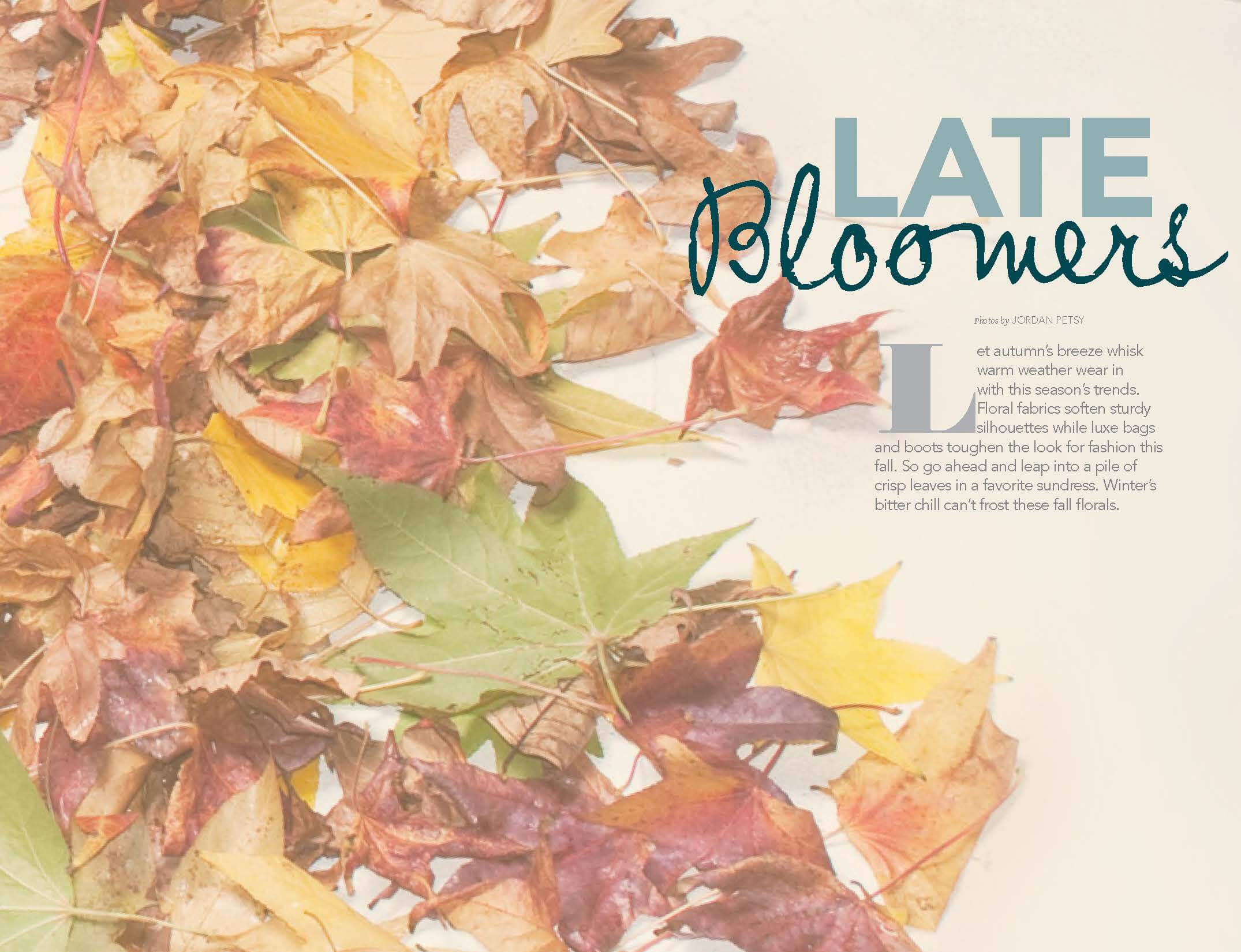 Late Bloomers by Megan Hillman Donovan