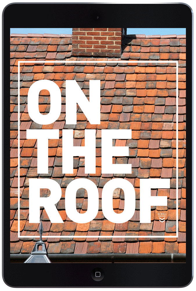 On The Roof by Megan Hillman Donovan