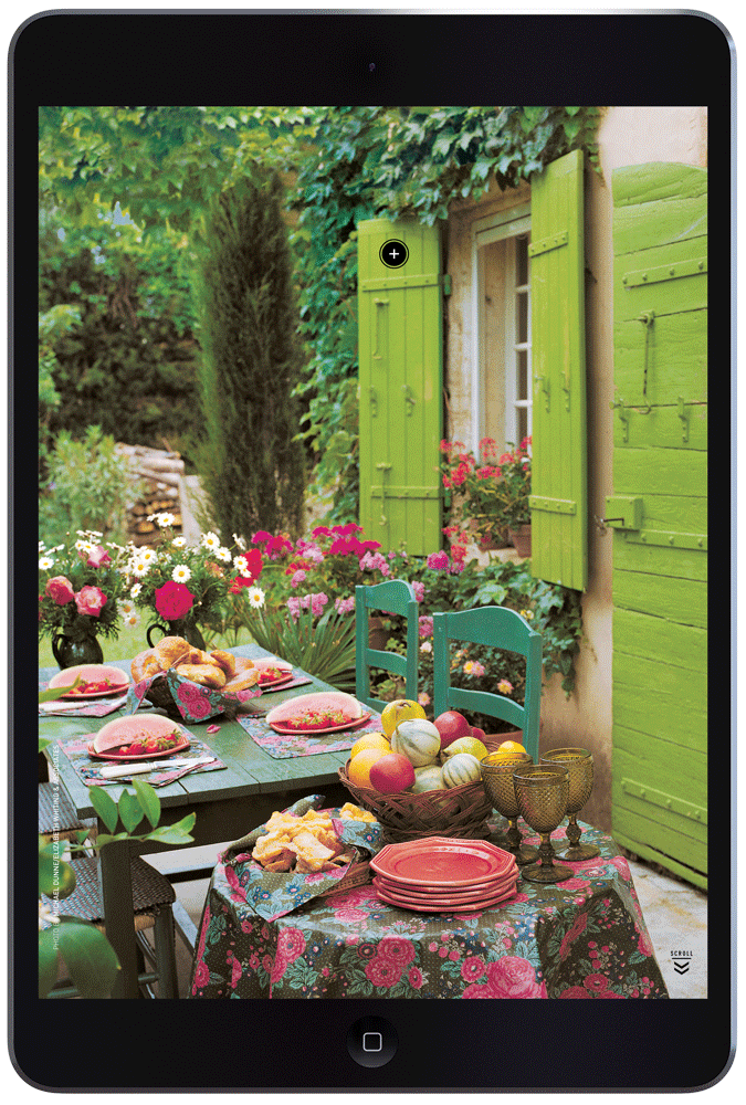 Open Up to Shutters by Megan Hillman Donovan