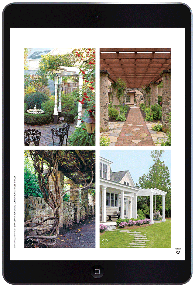 Presenting the Pergola by Megan Hillman Donovan