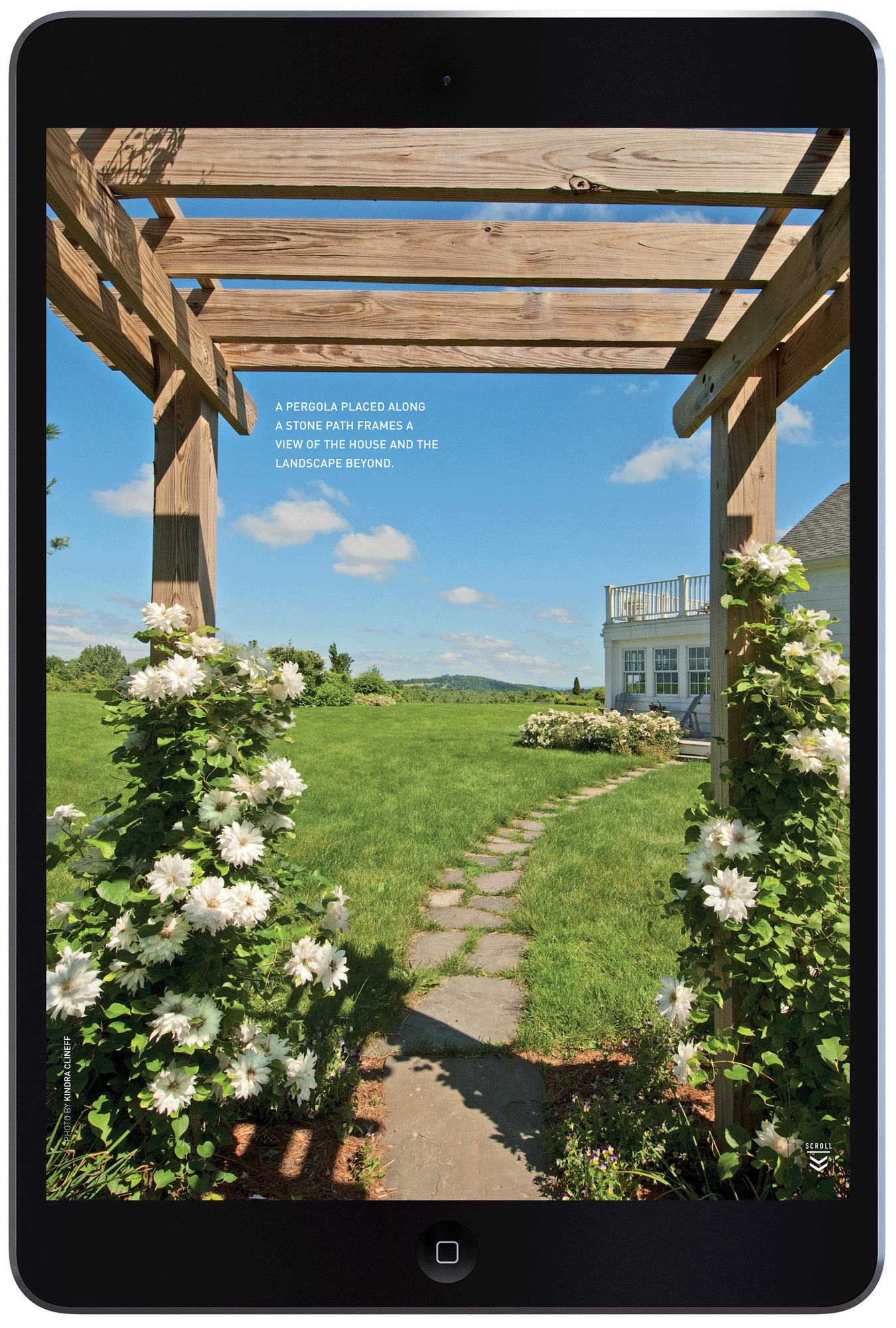 Presenting the Pergola by Megan Hillman Donovan