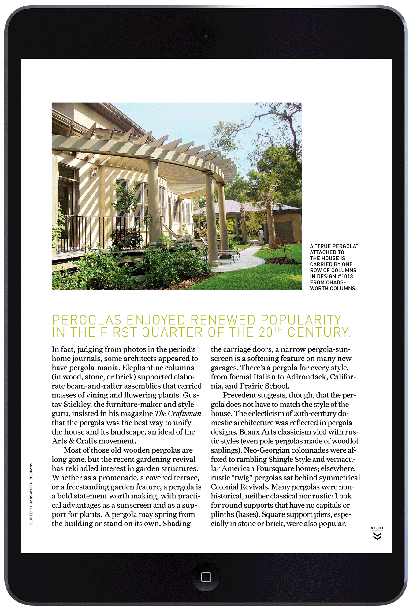 Presenting the Pergola by Megan Hillman Donovan