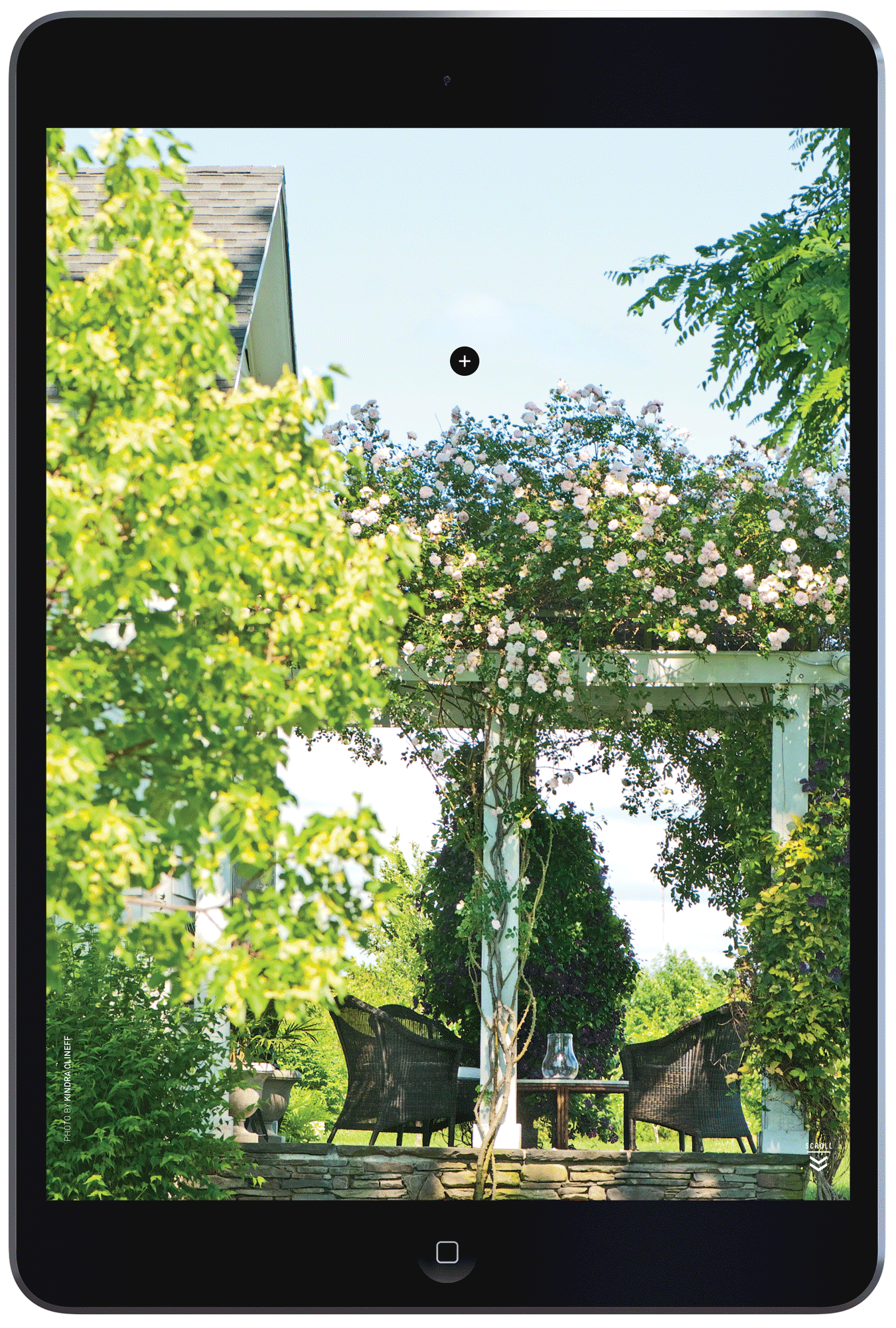 Presenting the Pergola by Megan Hillman Donovan