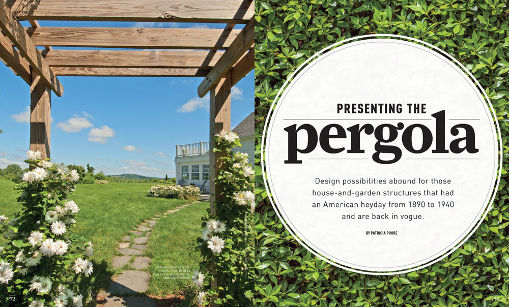Presenting the Pergola by Megan Hillman Donovan