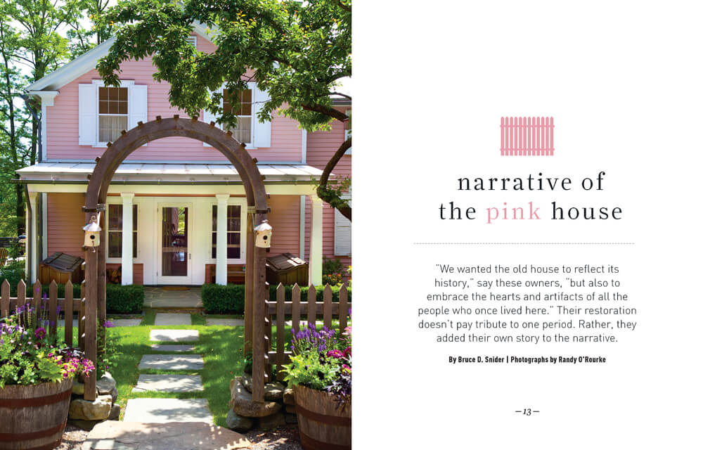 The Narrative of the Pink House by Megan Hillman Donovan