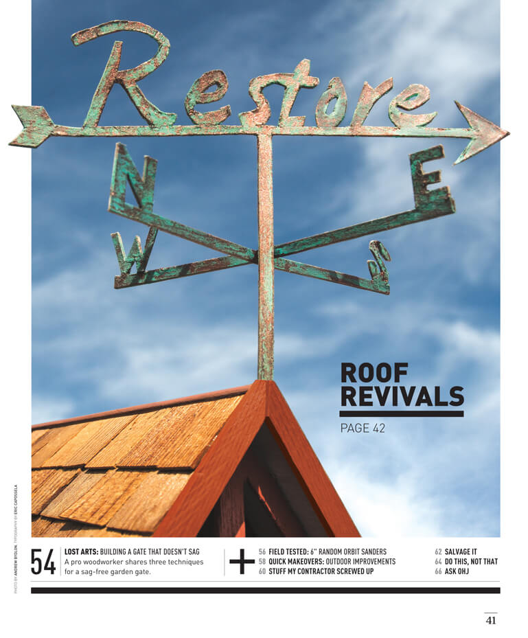Roof Revivals by Megan Hillman Donovan
