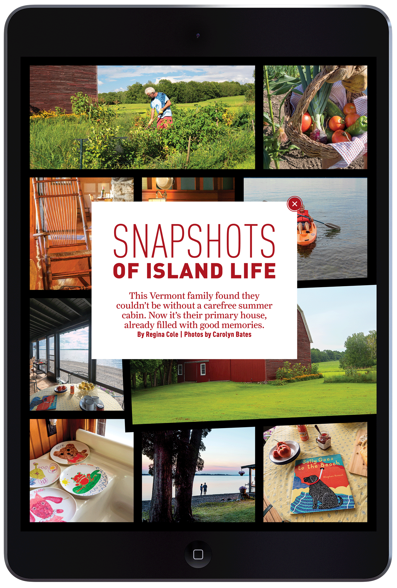 Snapshots of Island Life by Megan Hillman Donovan