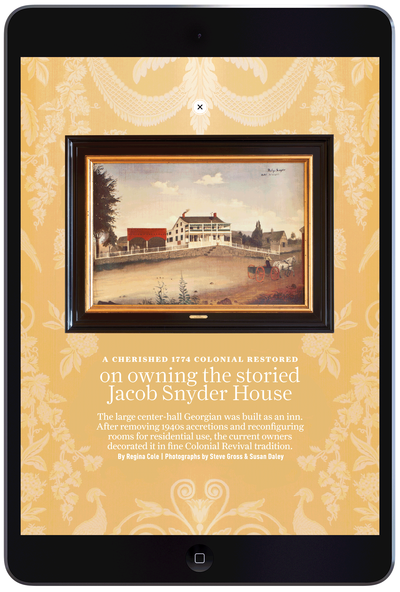 The Jacob Snyder House by Megan Hillman Donovan