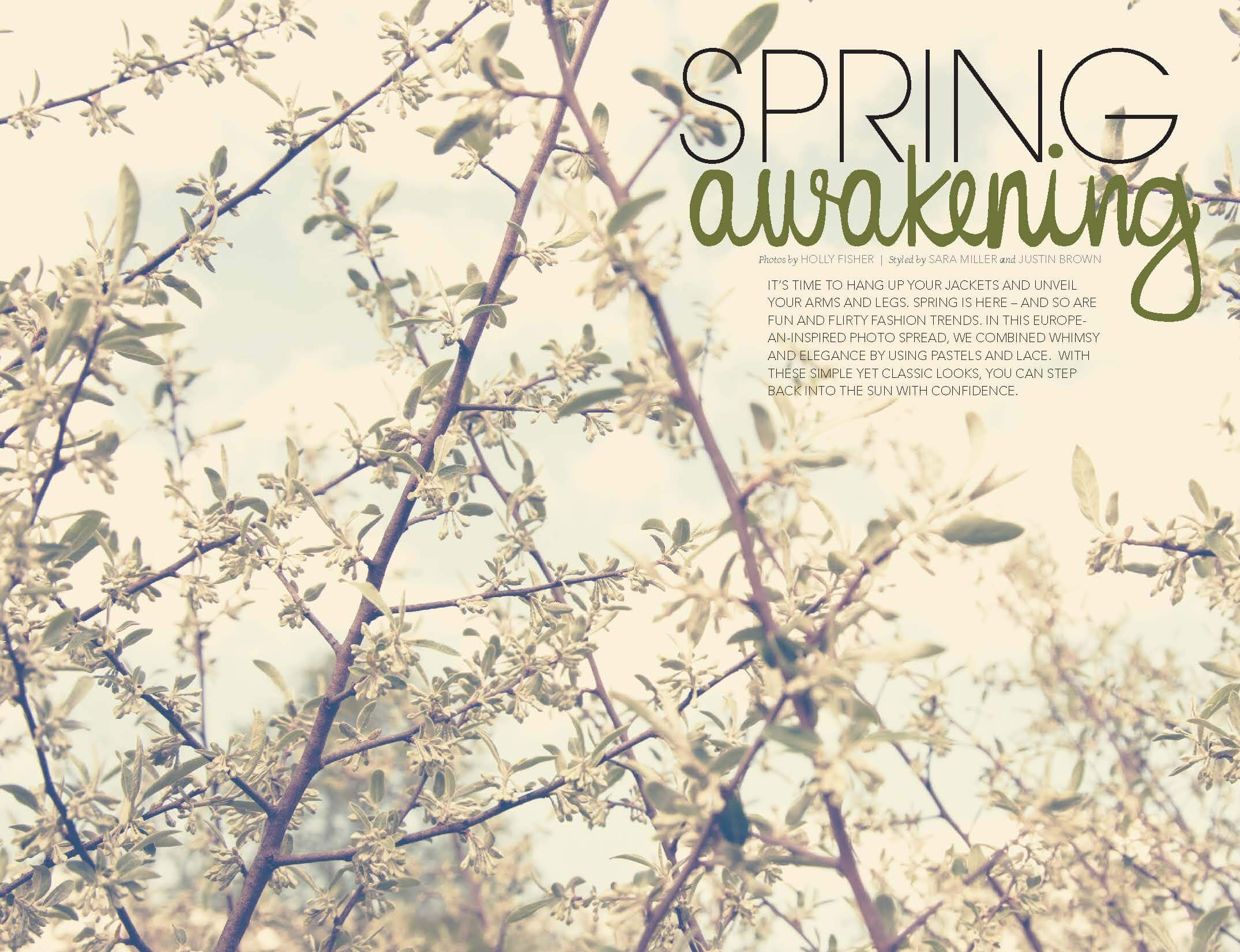 Spring Awakening by Megan Hillman Donovan