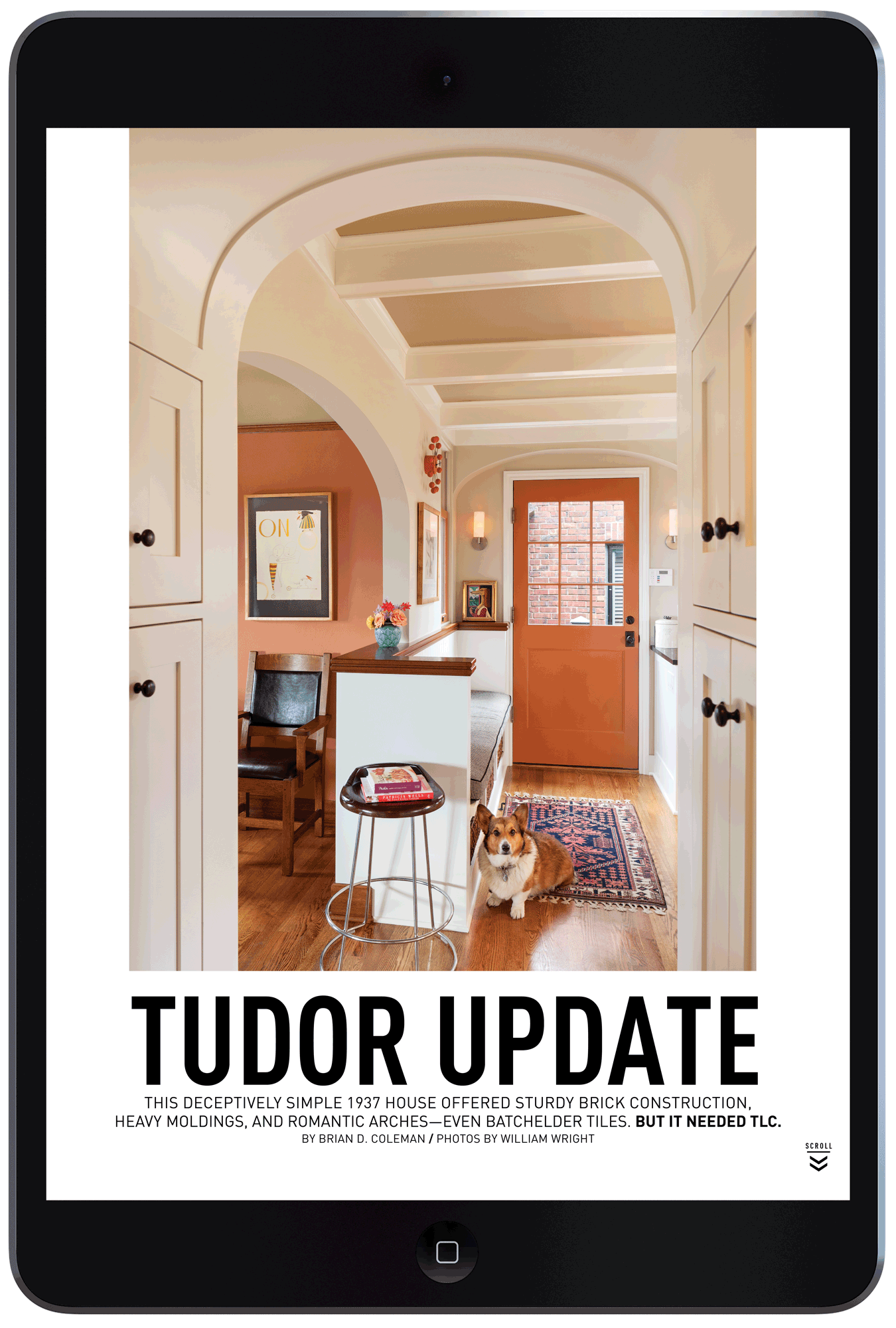 Tudor Update by Megan Hillman Donovan