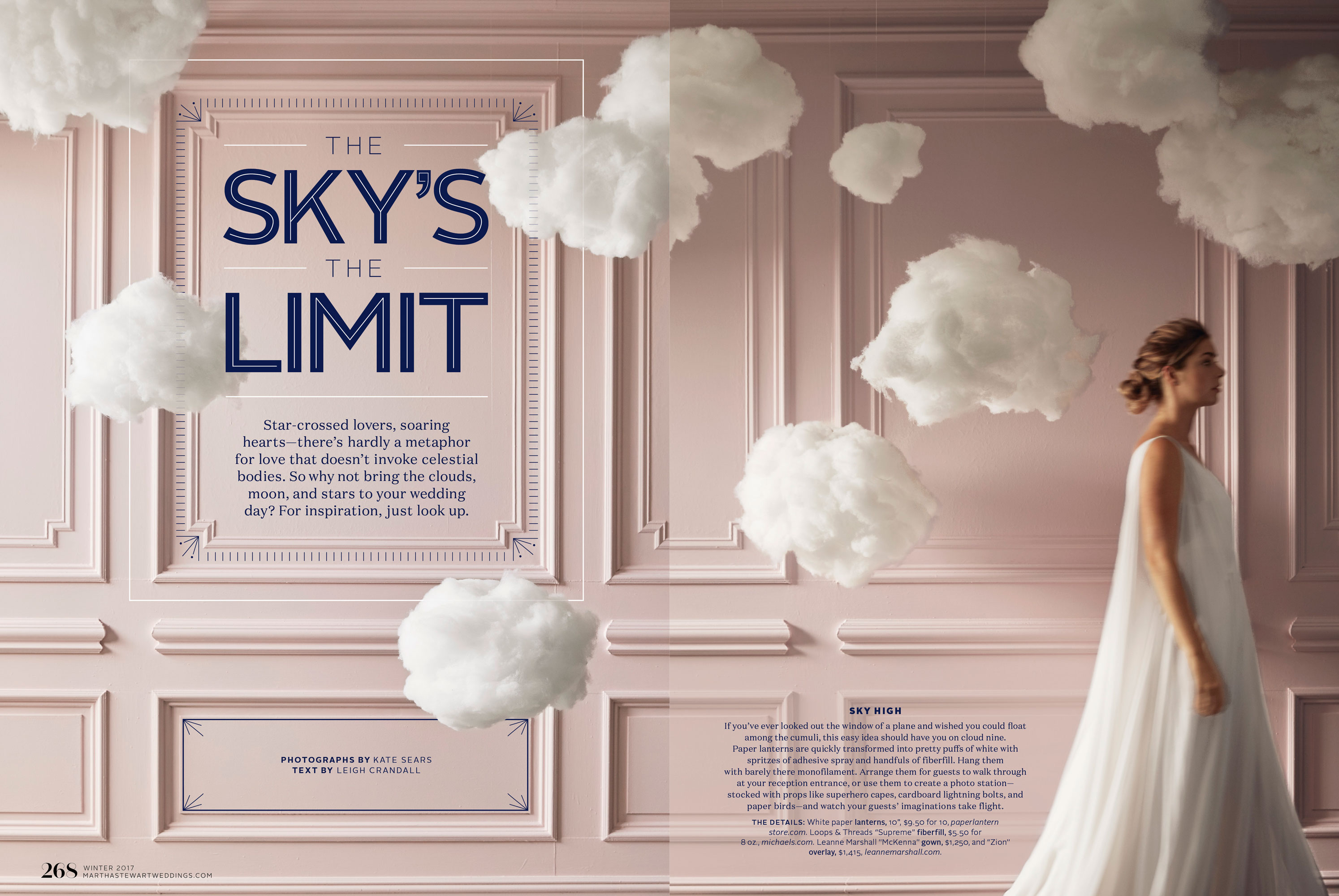 The Sky's the Limit by Megan Hillman Donovan
