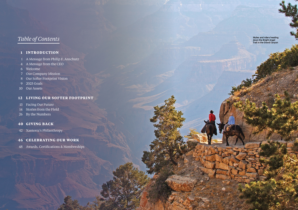 Sustainability Report by Megan Hillman Donovan