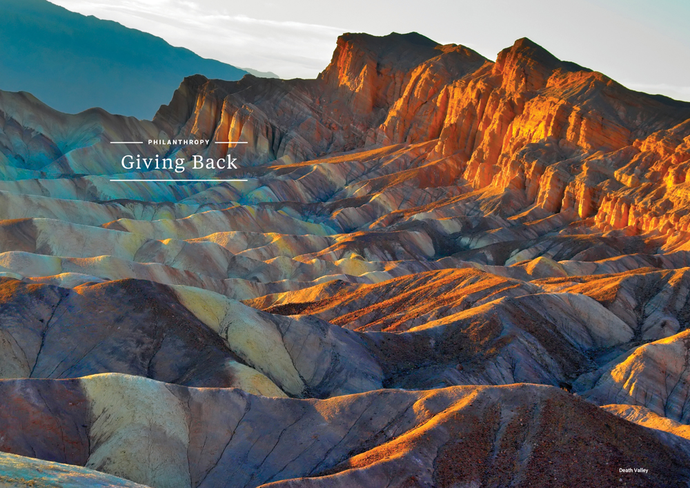 Sustainability Report by Megan Hillman Donovan
