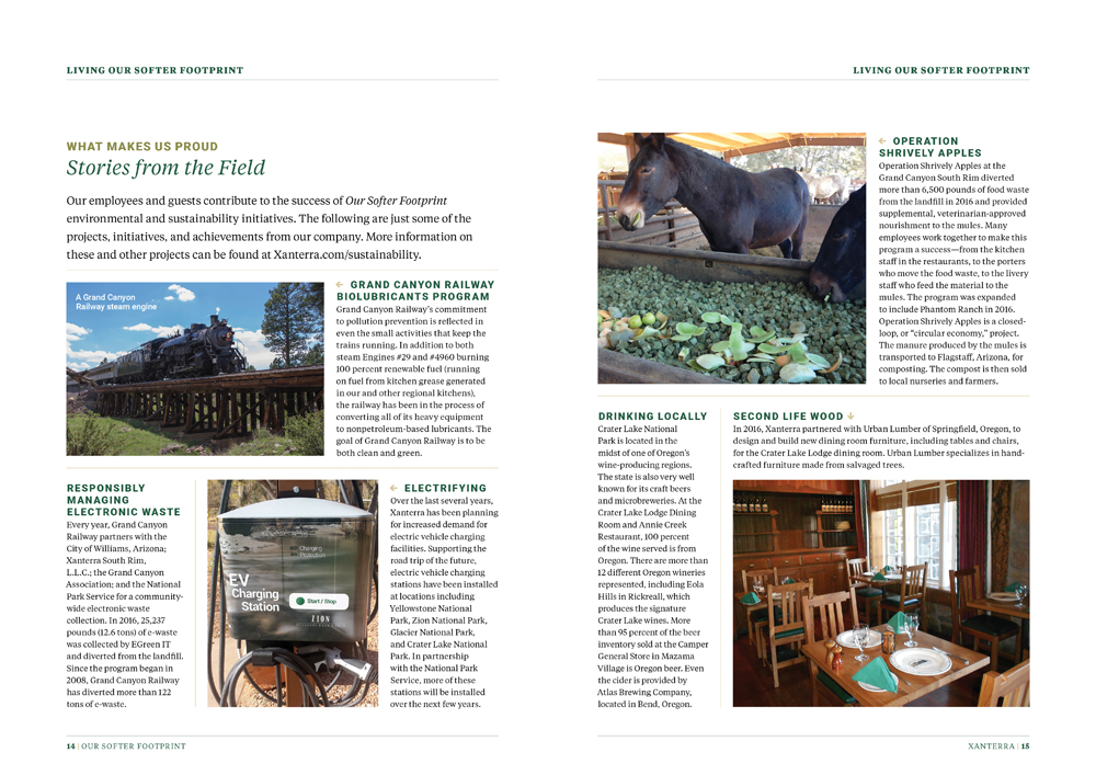 Sustainability Report by Megan Hillman Donovan